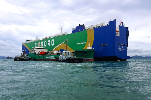 Hong Kong Sees Record Green Methanol Bunkering Operation