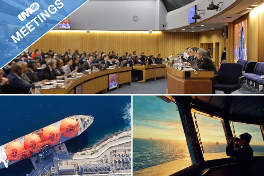 IMO Moves Forward with Alternative Fuel Training Guidelines for Seafarers