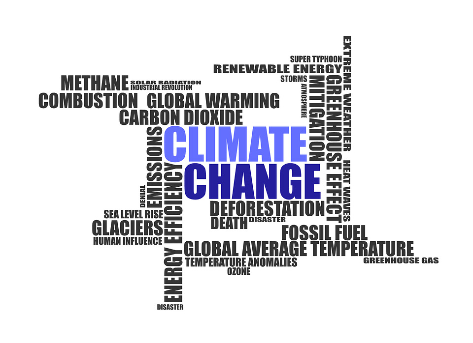 Exxon Low Carbon Ops on par With Production, Products