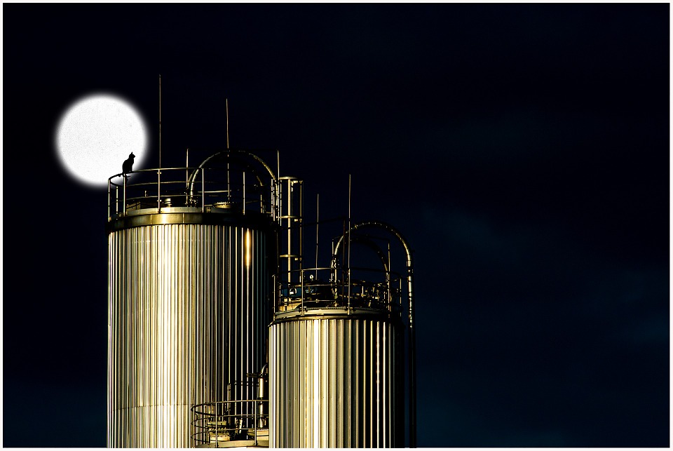 Petrobras Beefs up Singapore Presence