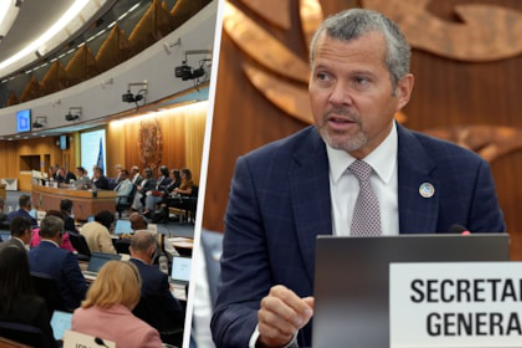 Stop Attacking Merchant Ships and Seafarers, IMO Secretary-General Tells Member States
