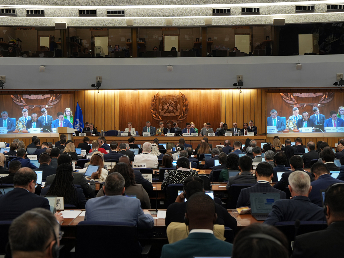 MEPC 84: IMO Sets September and November Talks to Break NZF Deadlock