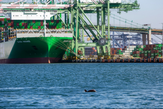 US Agency Proposes Fees on Spanish-Flagged Ships Calling at US Ports
