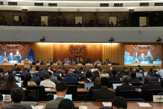 Oil Producers Saudi Arabia and UAE Call for Alternatives to IMO NZF