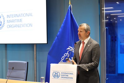 IMO SG to Green Fuel Producers: Don't Give Up on Us