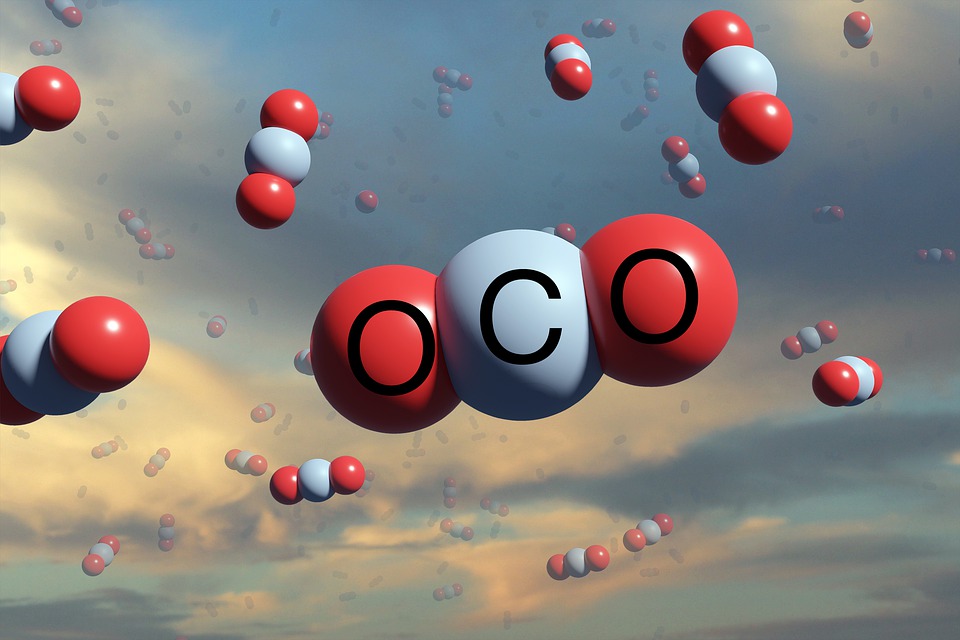 Bunker Supplier Delta Energy Launches Carbon Offsetting in ARA and UK