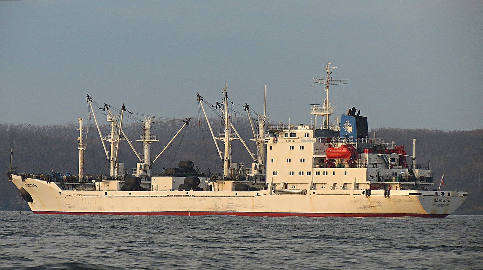 Dry Bulk Sector Hesitant Over Alt Fuel Newbuilds: Survey