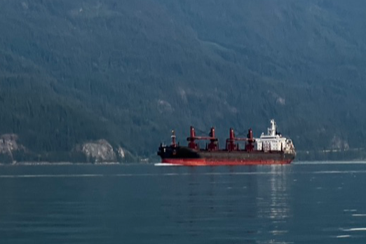 VIEWPOINT: Even Today, the Cheapest Bunkers Can Fuel the Costliest Voyage