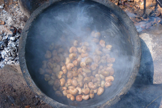 MASH Makes' Cashew Nut Shell Biofuel Ready for Marine Use After Lab Test