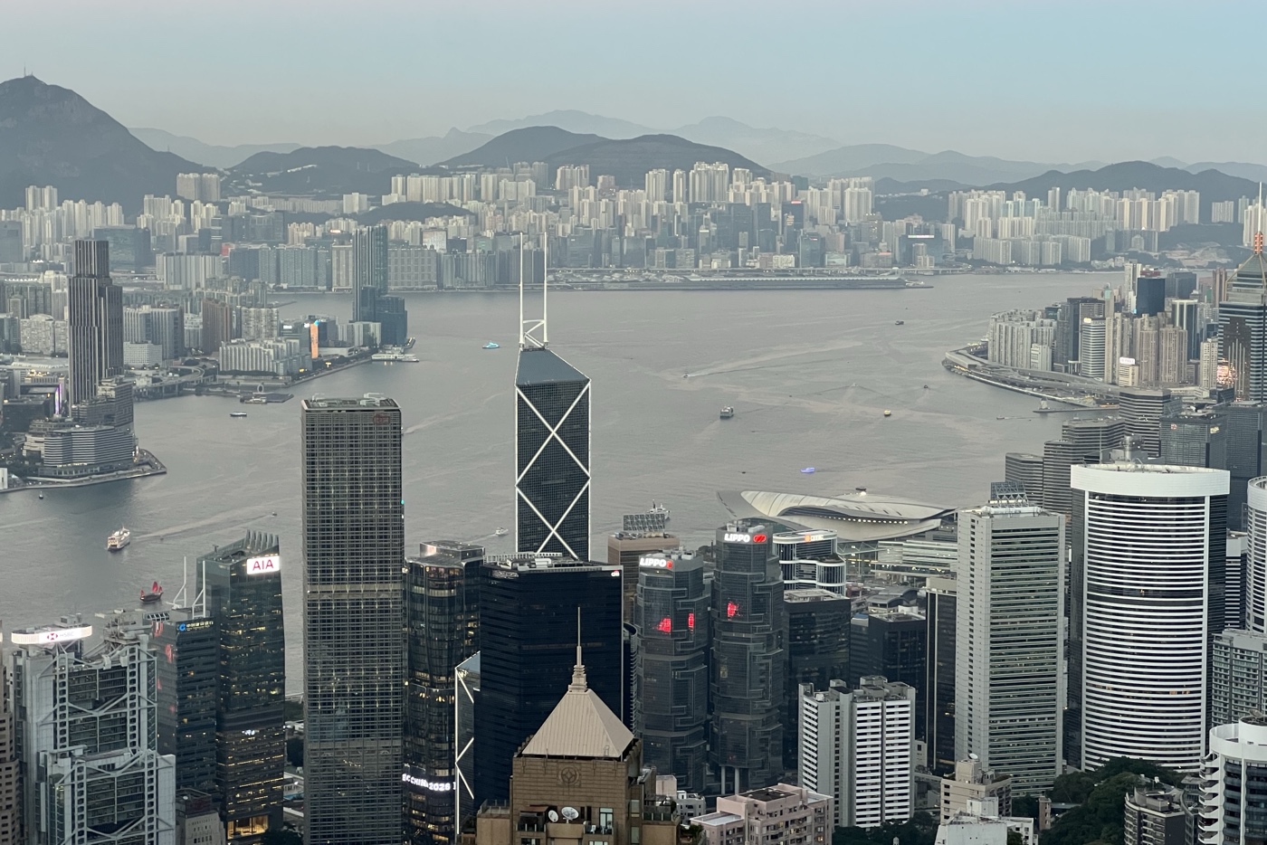 INTERVIEW: Propeller Eyes More Deals & Tech as Rising Bunker Trading Costs Fuels Market Consolidation
