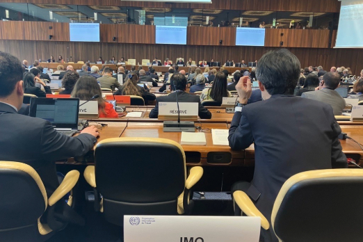 IMO Clears Path for Greater Biofuel Use with New Guidance
