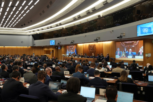 IMO Approves Guidelines to Curb Fraudulent Ship Registrations