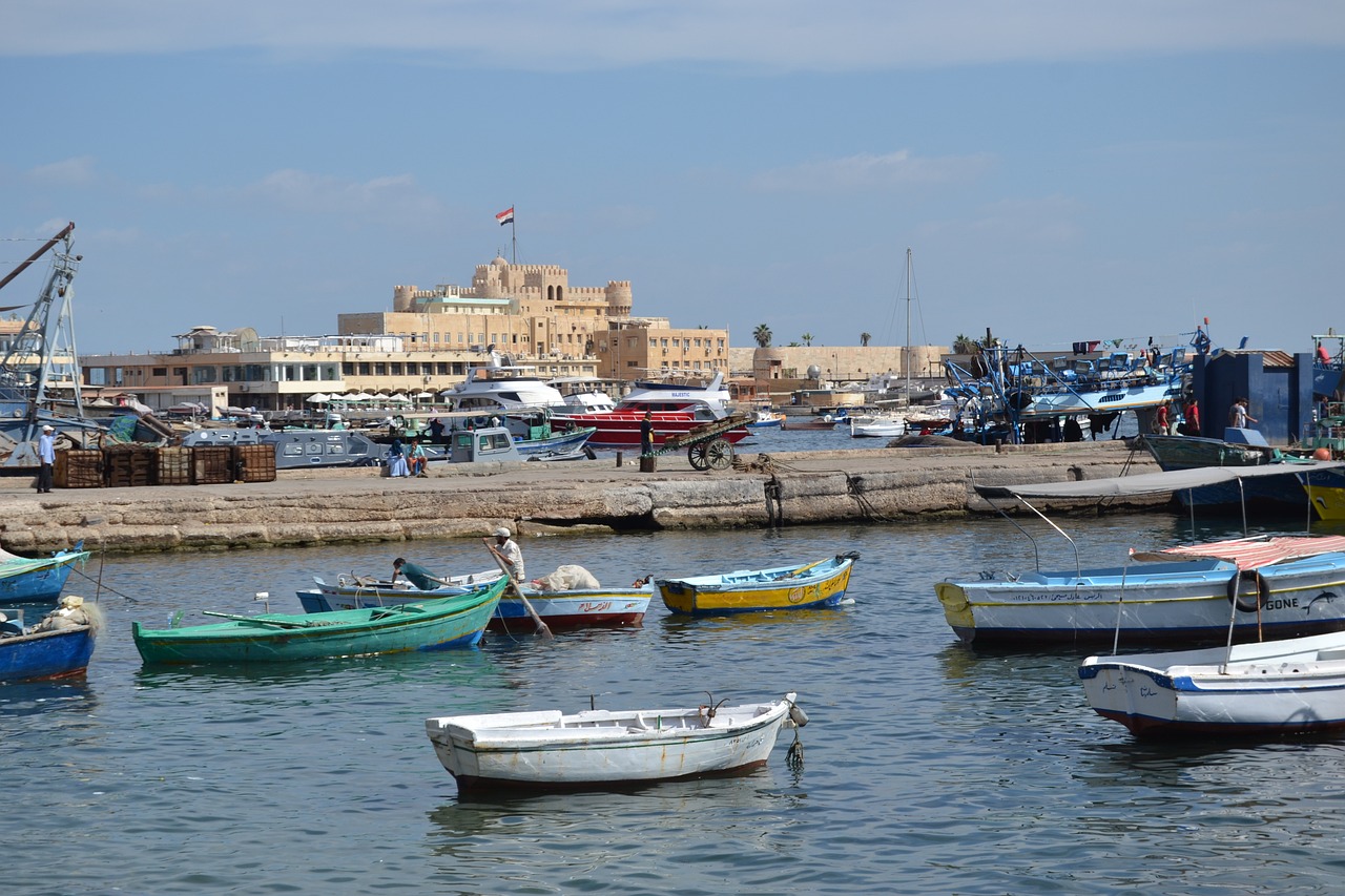 Egyptian Bunker Supplier General Group Expands